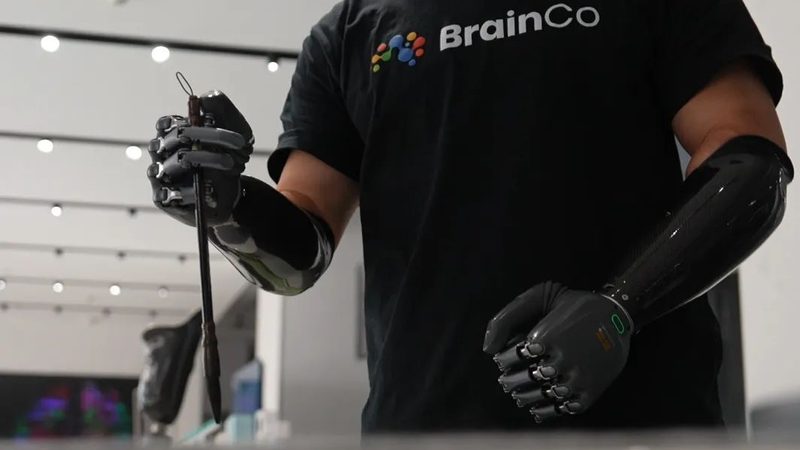 云服务器与物理机稳定性对比：性能与安全的双重考量